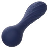 Calexotics - Charisma Temptation Masseur 12 Fonctions Violet